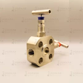 Block & Bleed Valve