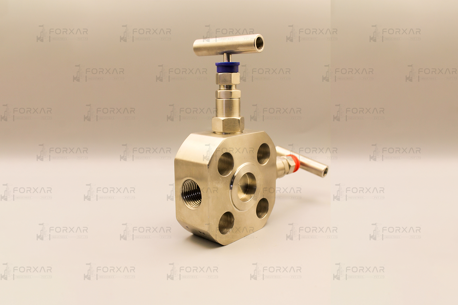 Block & Bleed Valve