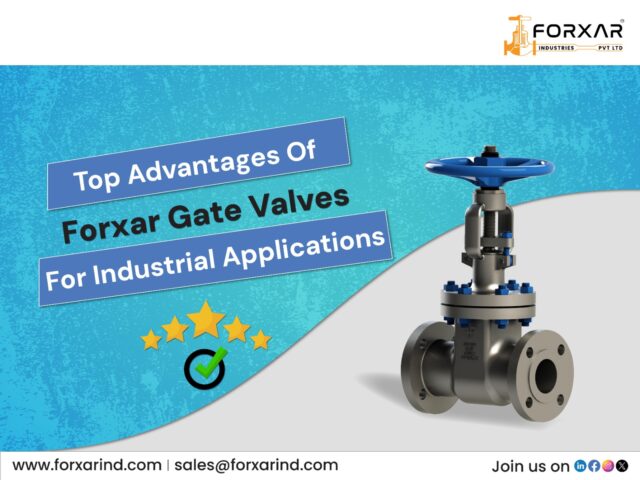 Gate Valve: Top Advantages for Industrial Flow Control | Forxar